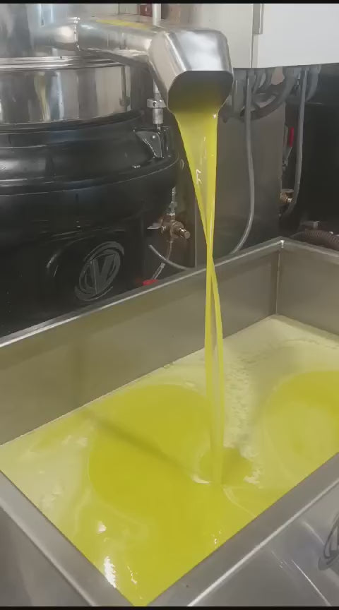 Olio Extravergine Di Oliva